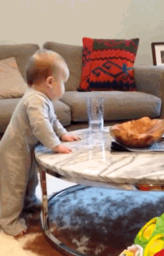 "Wait . . . What are you doing??? Don't . . . DON'T!!!"