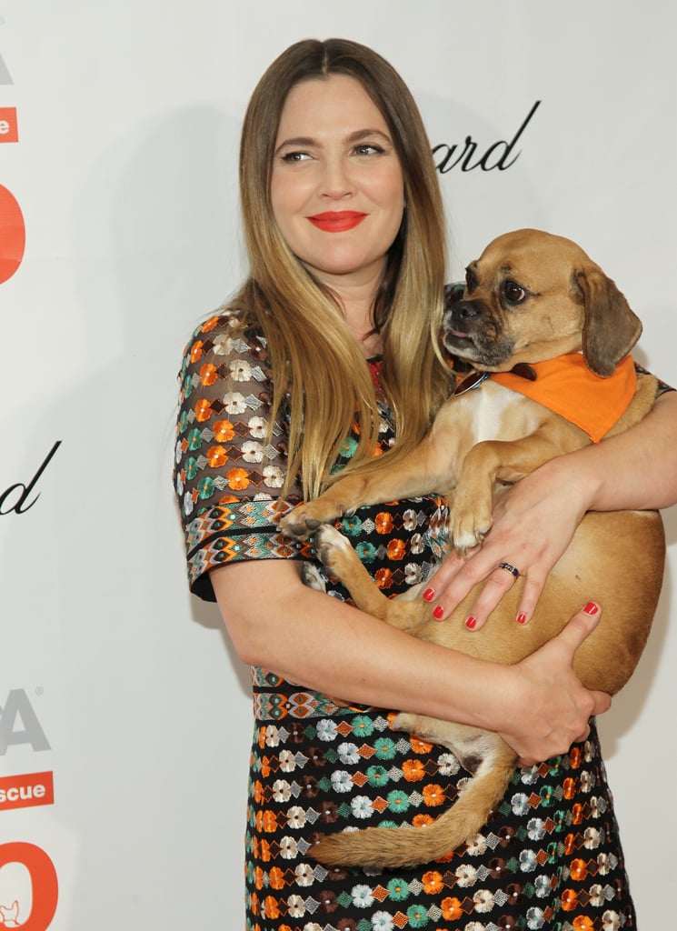 Drew Barrymore at ASPCA Bergh Ball 2016 Pictures