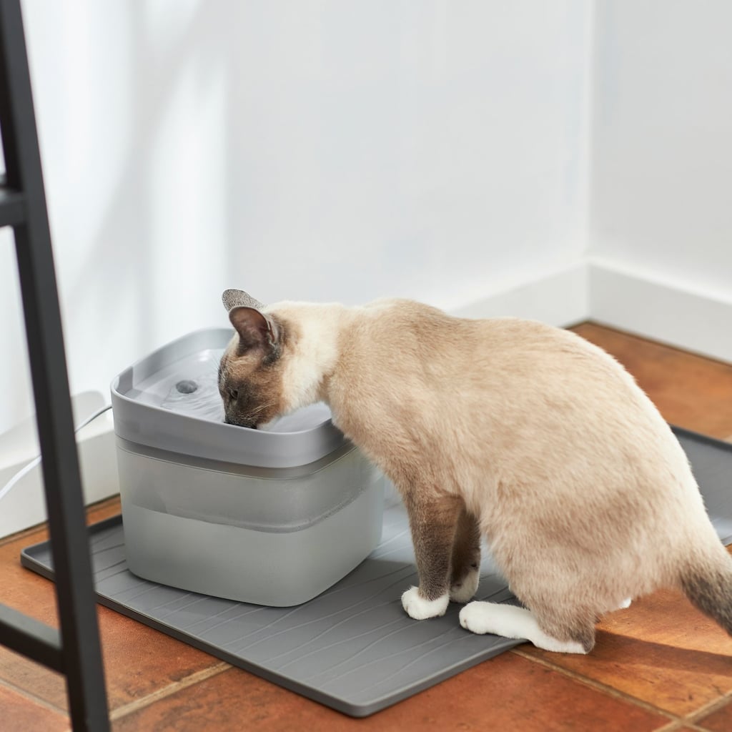 To Stay Hydrated: Frisco Square Dog & Cat Fountain