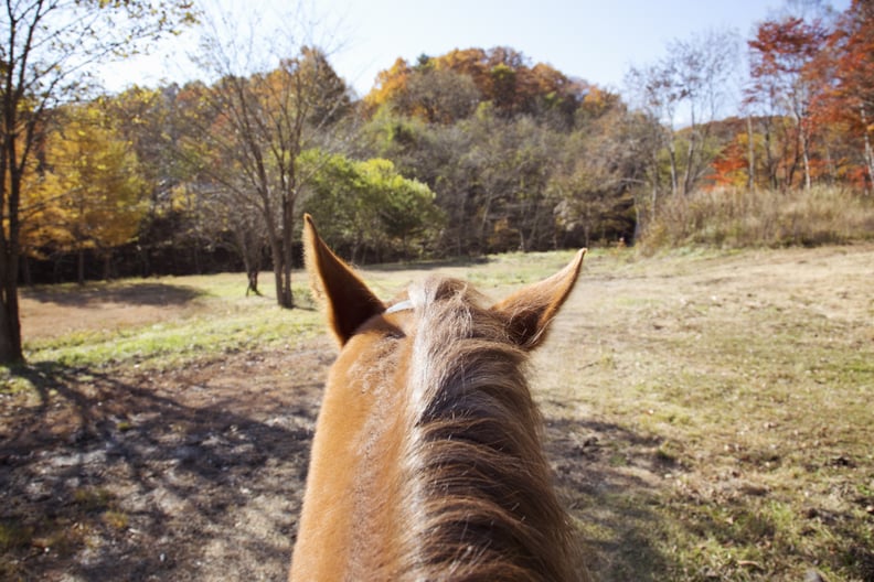 Fall Date Idea: Go Horseback Riding