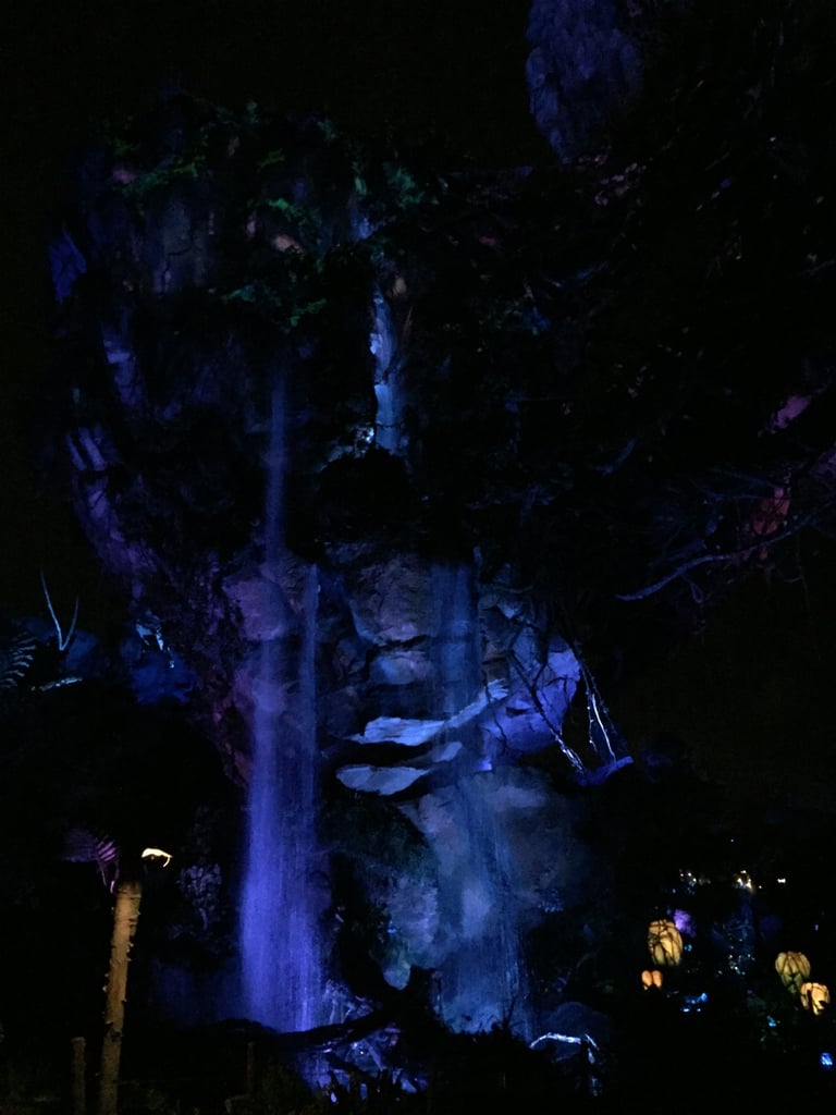 Pandora World of Avatar at Night Pandora World of Avatar at Night