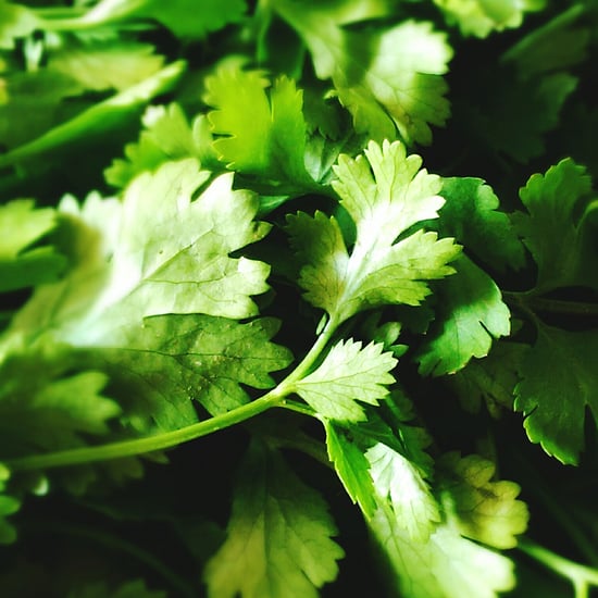 Cilantro POPSUGAR Food