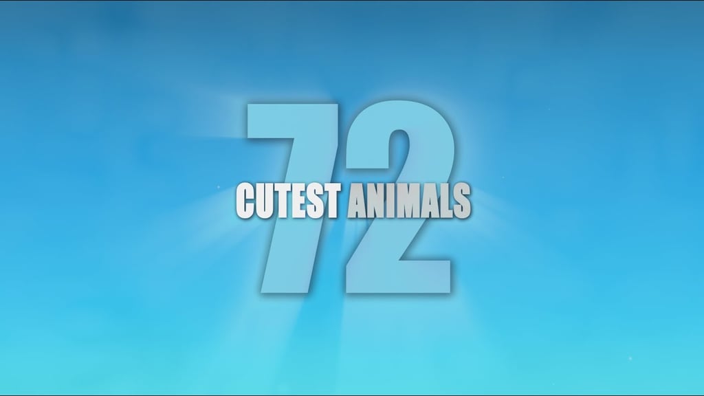 72 Cutest Animals