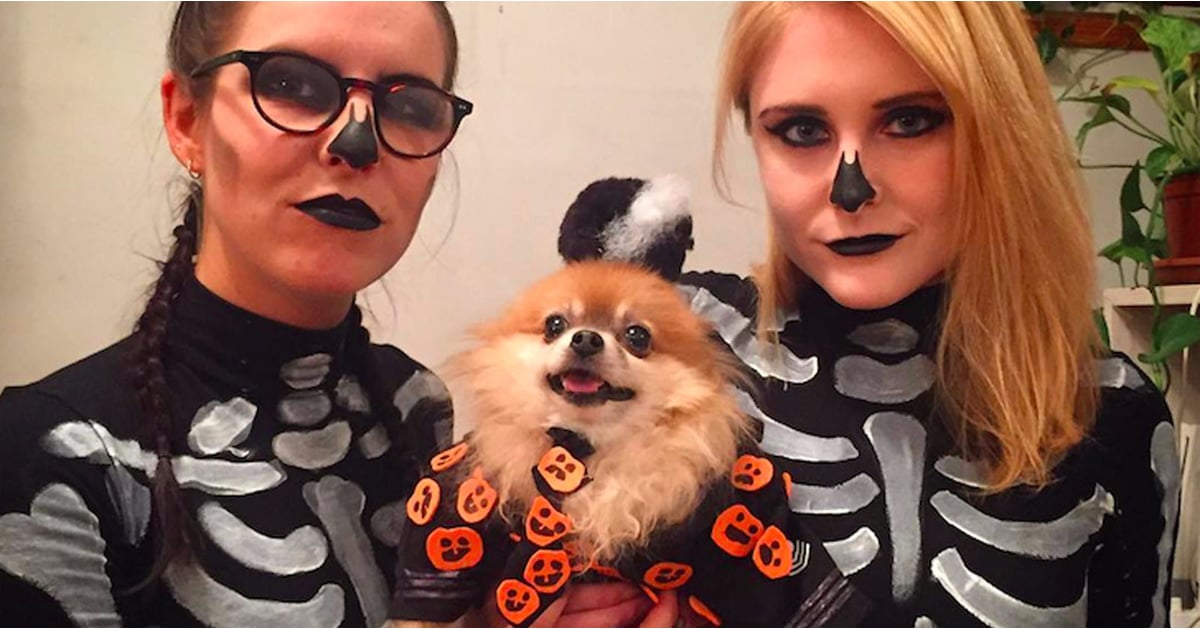 David S. Pumpkins Dog Costume POPSUGAR Pets