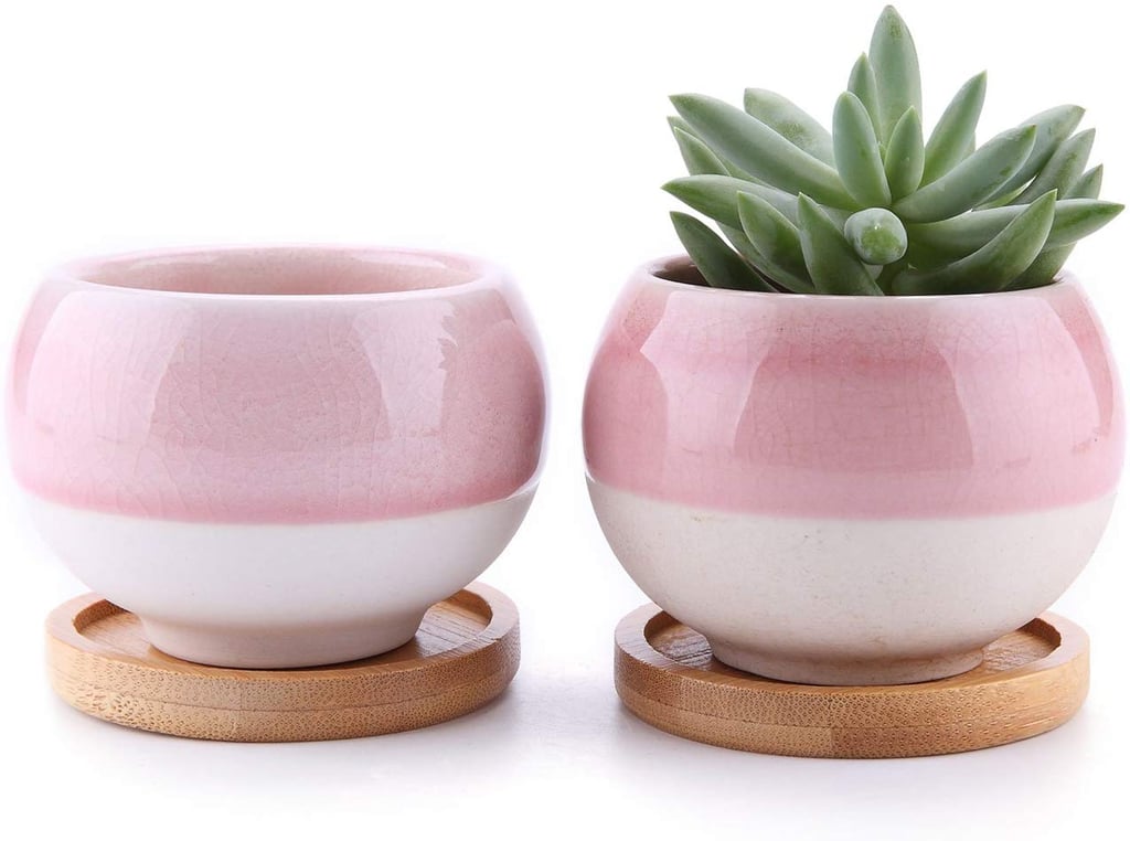 Succulent Plant Pots