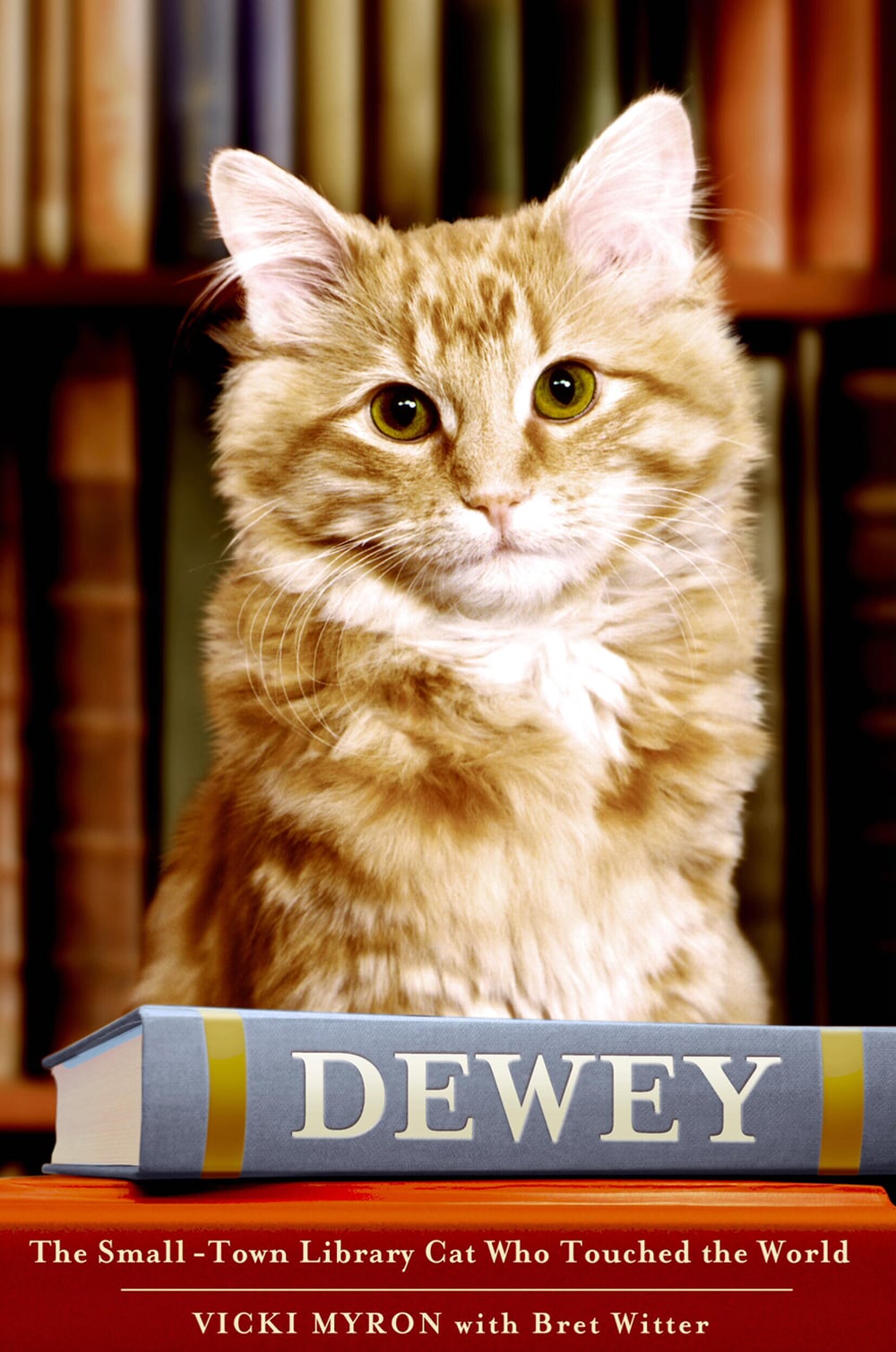Books About Cats For Adults Popsugar Pets