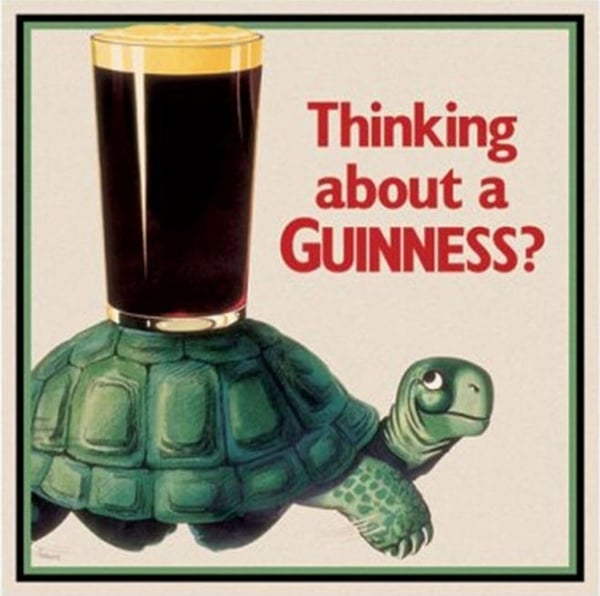 Thinking about grabbing a Guinness? This turtle might just convince you to go for it.
