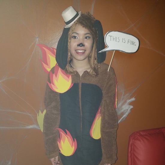 This Is Fine Dog Meme Costume