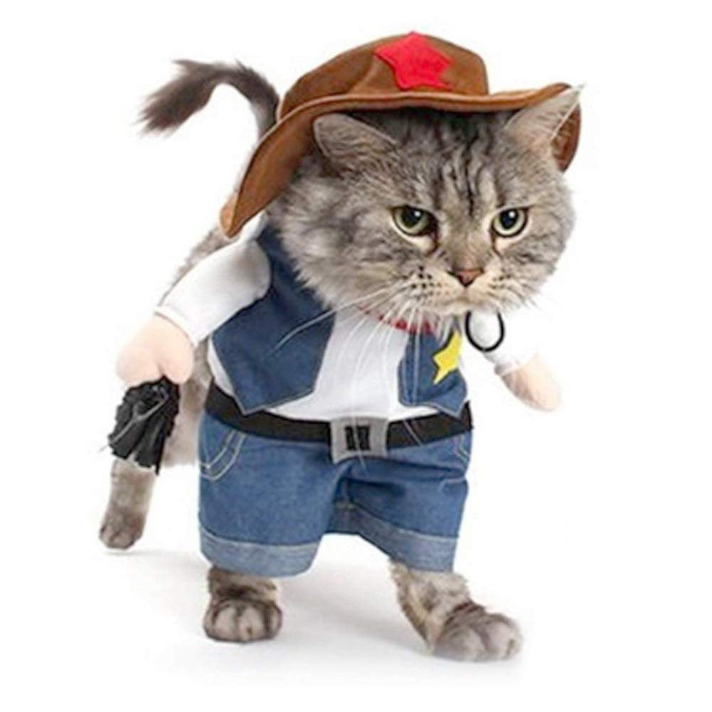 Cowboy Cat Costume | Best Cat Costumes For Halloween 2020 | POPSUGAR ...