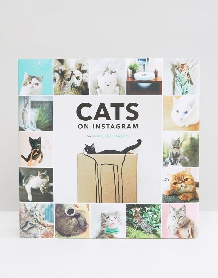 Cats on Instagram Book