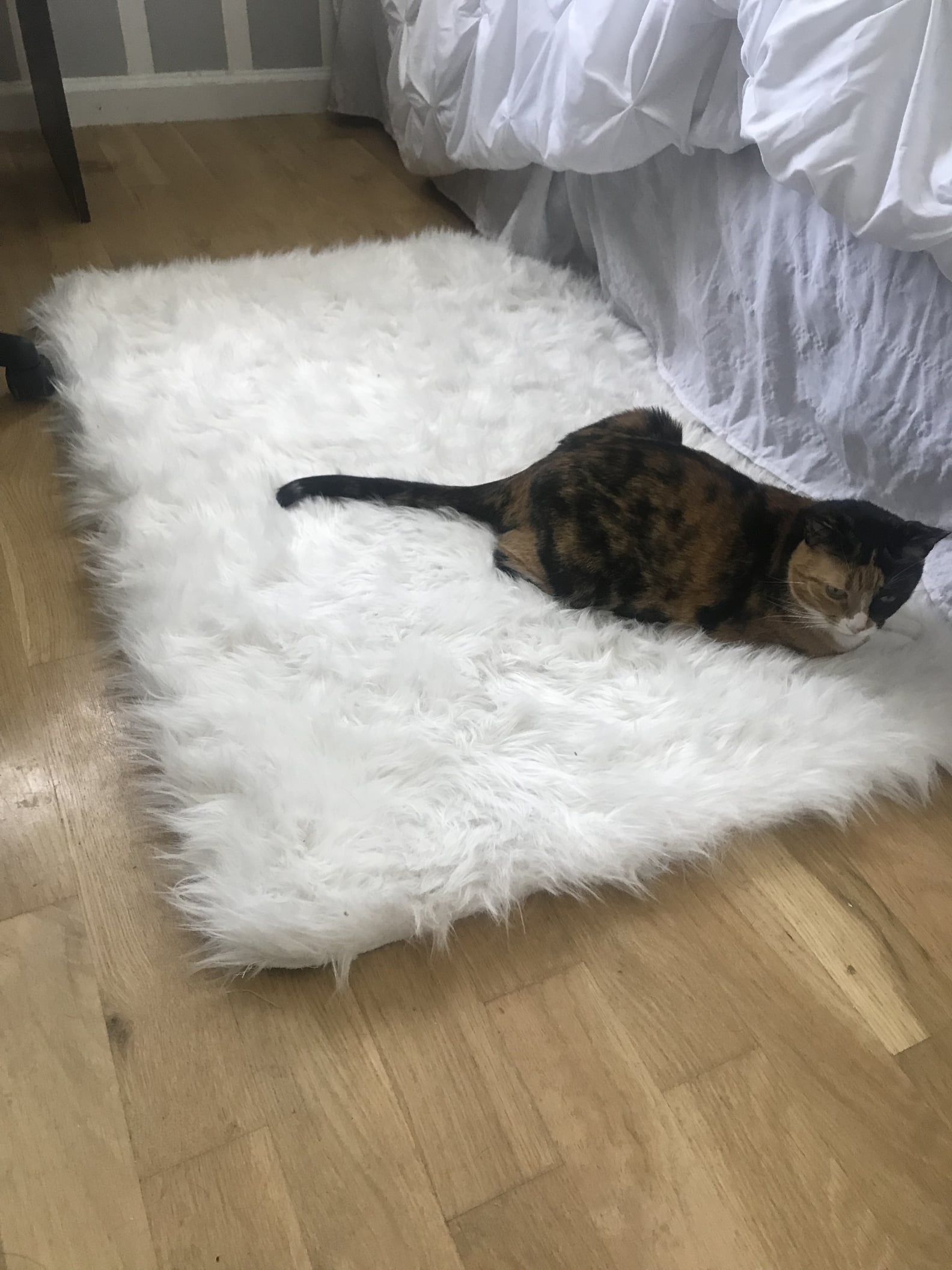 How to Keep Rugs From Slipping POPSUGAR Family