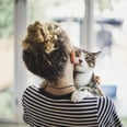 If Your Cats Are Chewing on Your Hair, It's Probably a Sign They Love You!