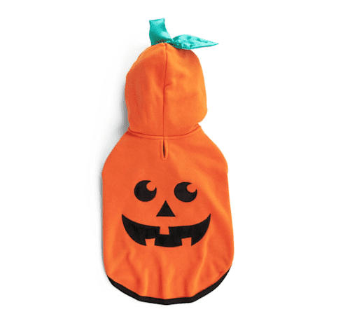 Petco Halloween Costumes: Pumpkin