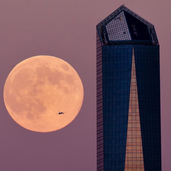 Super Moon 2014 Pictures