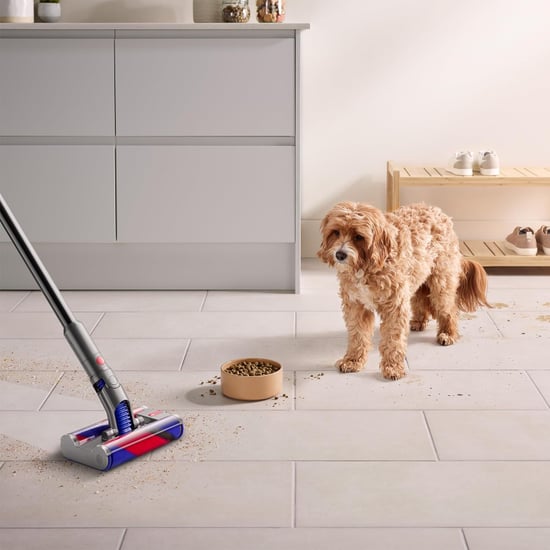 8 Best Stick Vacuums