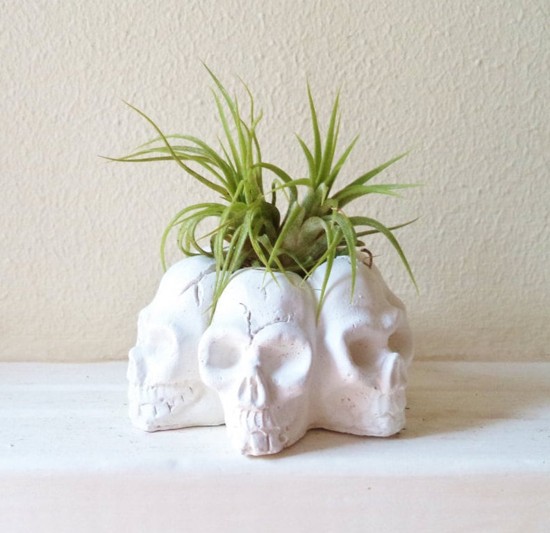 Why settle on just one skull when you can have six on the same cool plant holder ($18)?