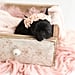 Newborn Photo Shoot With French Bulldog Puppy