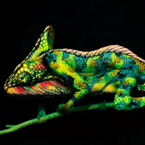 Chameleon Body Paint Video