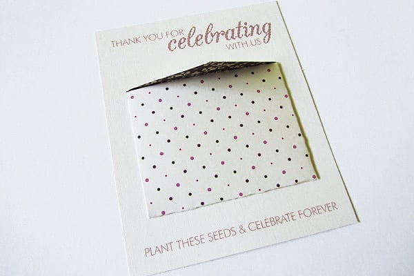 Minienvelope Thank You Cards