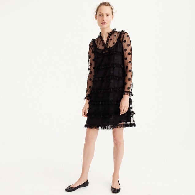 J.Crew Polka-Dot Embroidered Tulle Dress