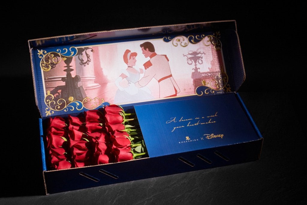 Best Friend Gift, Disney Gift, Gift for Friend, Disney Lover Gift, Rose  Gold, Disney Box, Birthday Box, Birthday for Her 