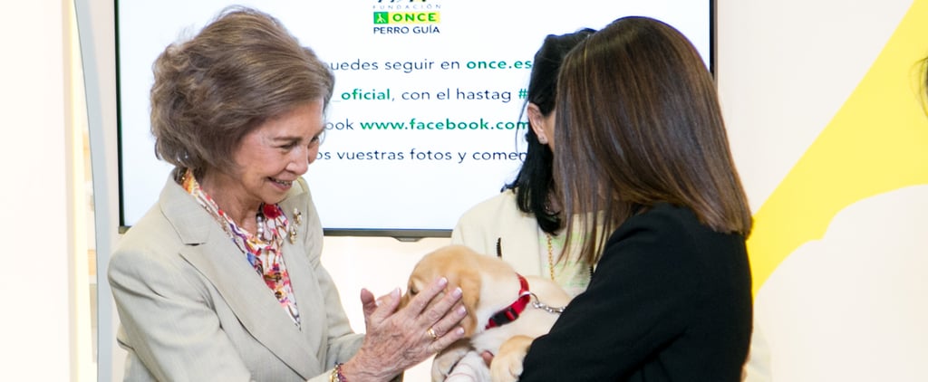 Queen Sofia of Spain With Puppies at Event