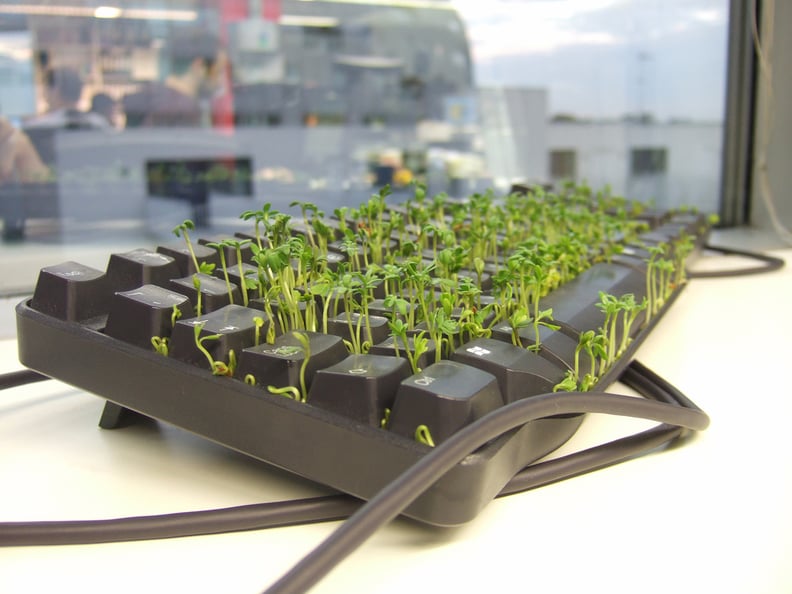 Chia Pet Keyboard