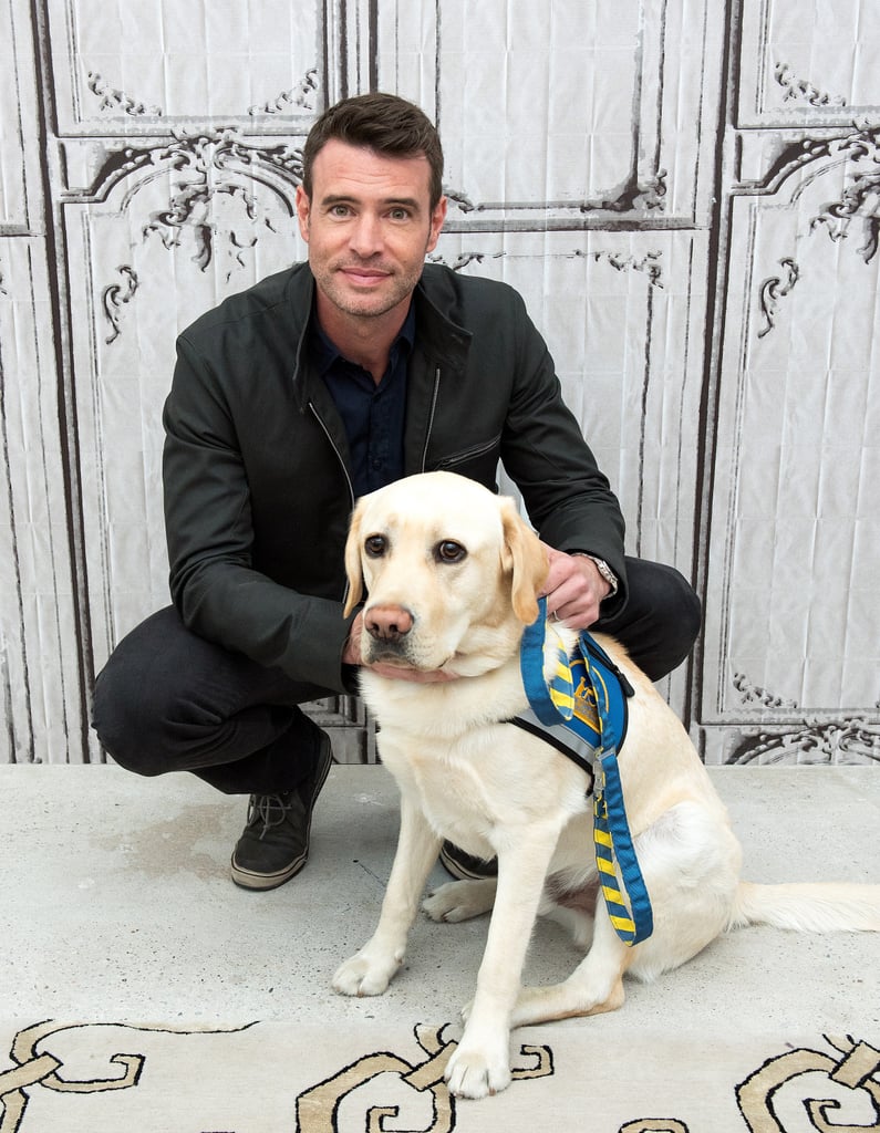 Scott Foley got down on Alf the service dog's level during a May 2015 appearance in NYC.
