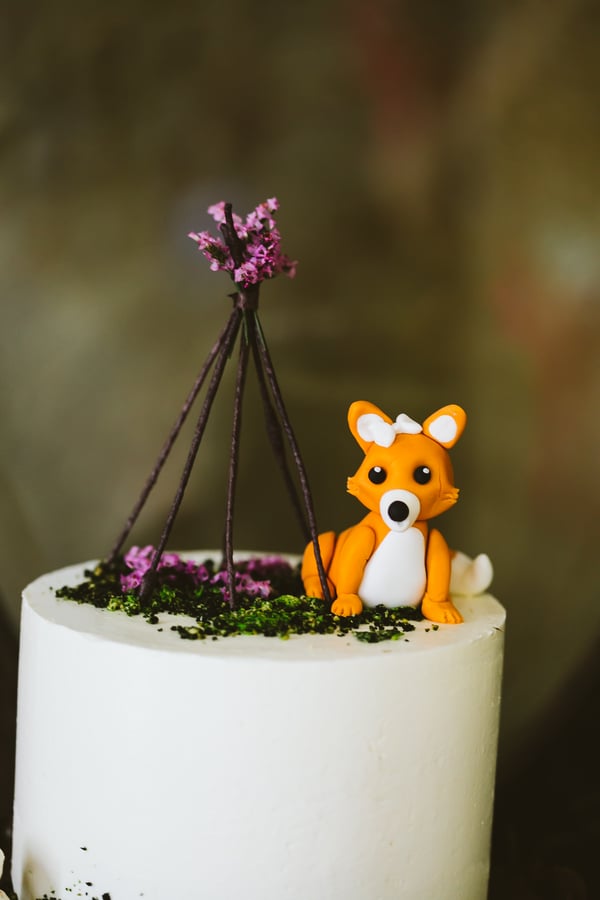 Woodland Camp Baby Shower Theme