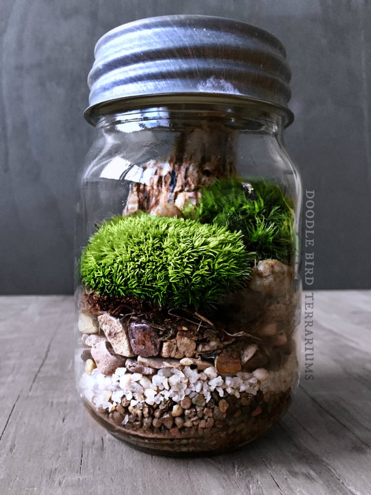 Mason Jar Terrarium Cool Upcycling Projects POPSUGAR Smart Living