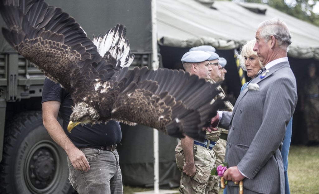 Prince Charles Camilla Freak Out at Eagle