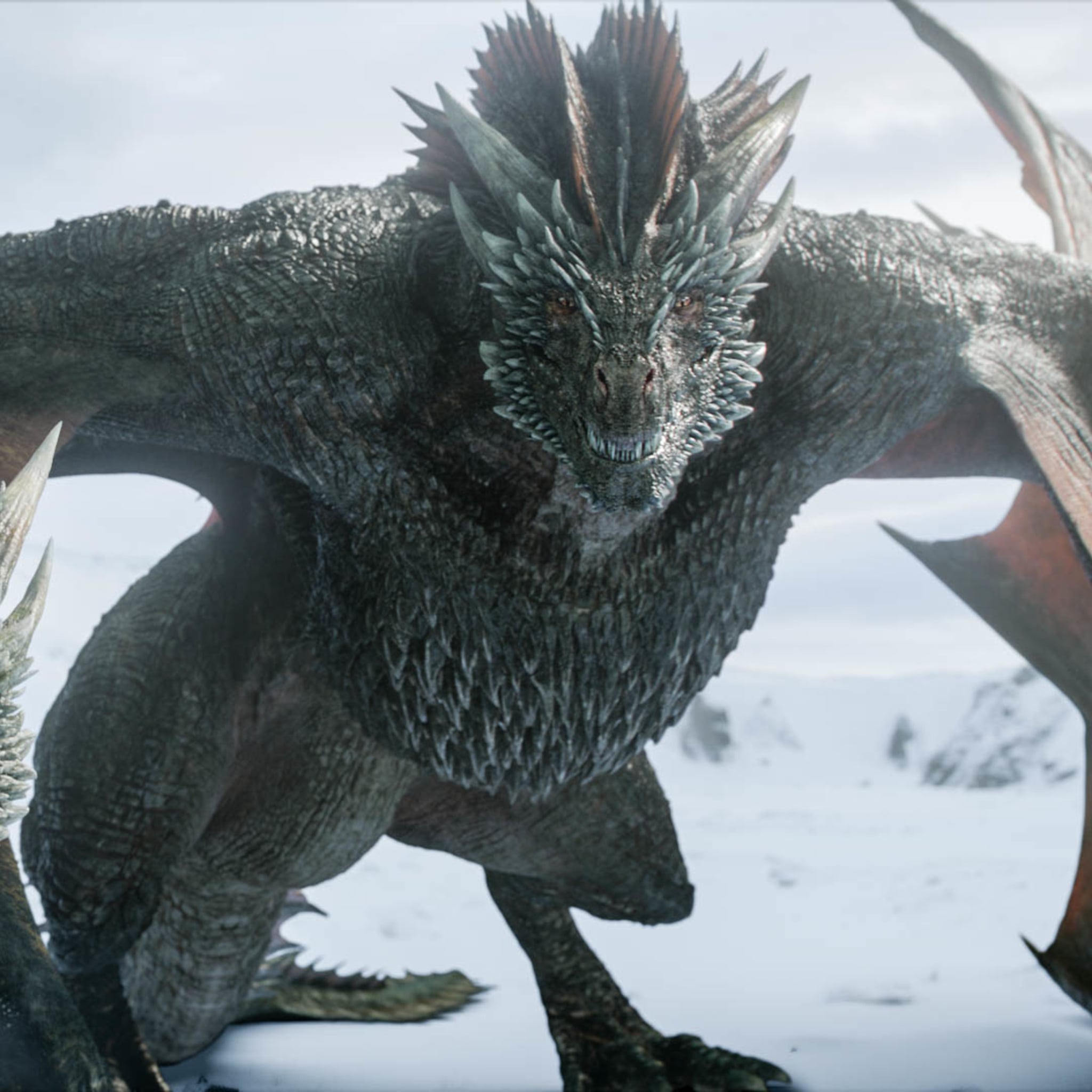 Game of Thrones Theory That Drogon Is Khal Drogo | POPSUGAR Entertainment