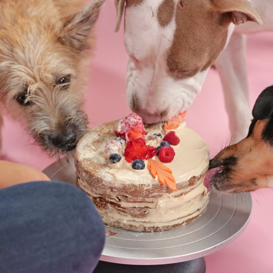 كعكة متعدّة الطبقات قابلة للأكل من قبل الكلاب