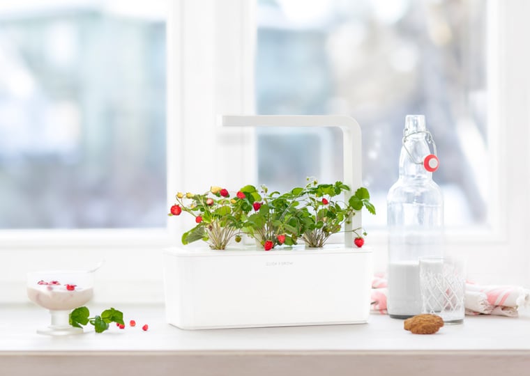 Tech-Savvy Gardening Products