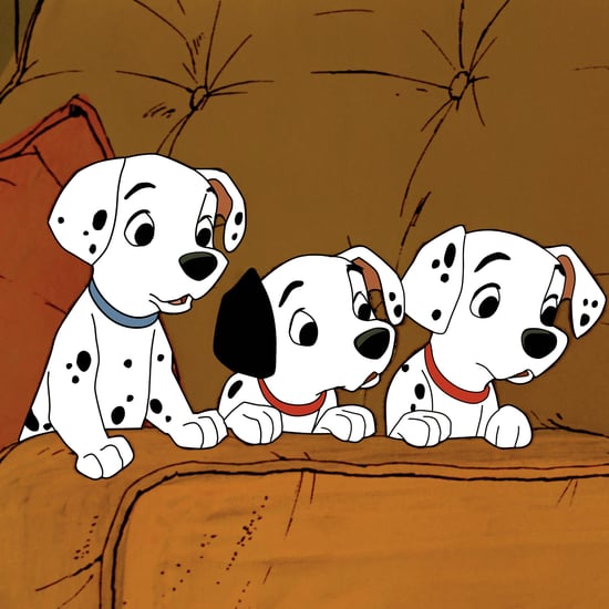 The Best Disney Names For Girl and Boy Dogs in 2020