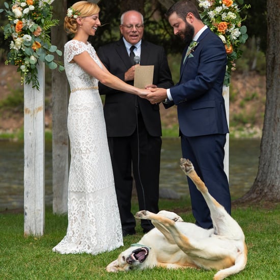 Dog Photobombs Wedding Photo