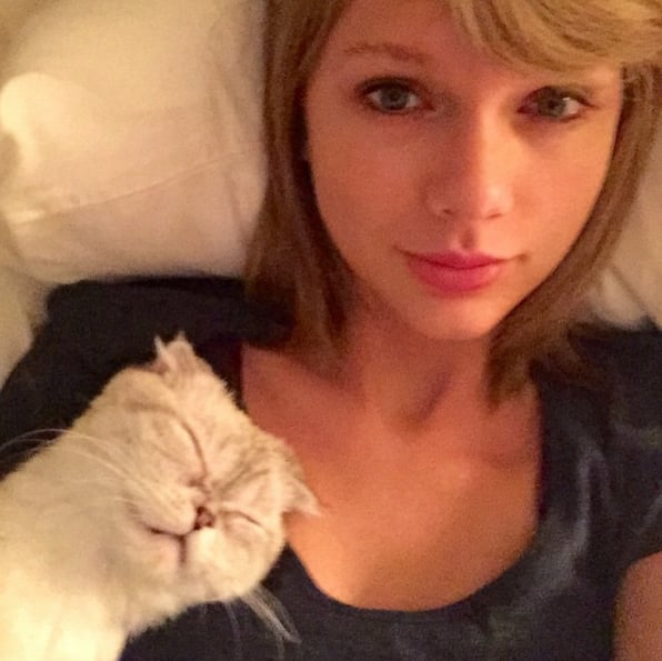Taylor Swift's selfie with her cat, Meredith, scored the ninth spot in Instagram's most liked photos of the year.