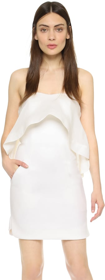 Antonio Berardi Strapless Dress ($3,760)