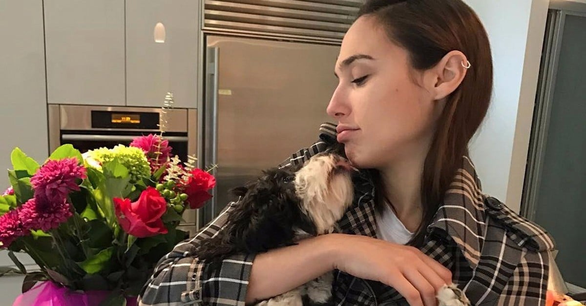 Gal Gadot s House PS Home