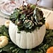 This Is Your Sign to DIY a Succulent Pumpkin This Month