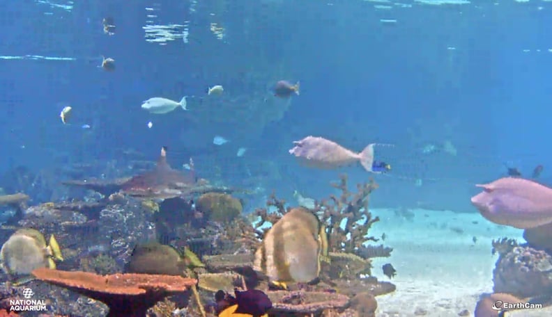 National Aquarium