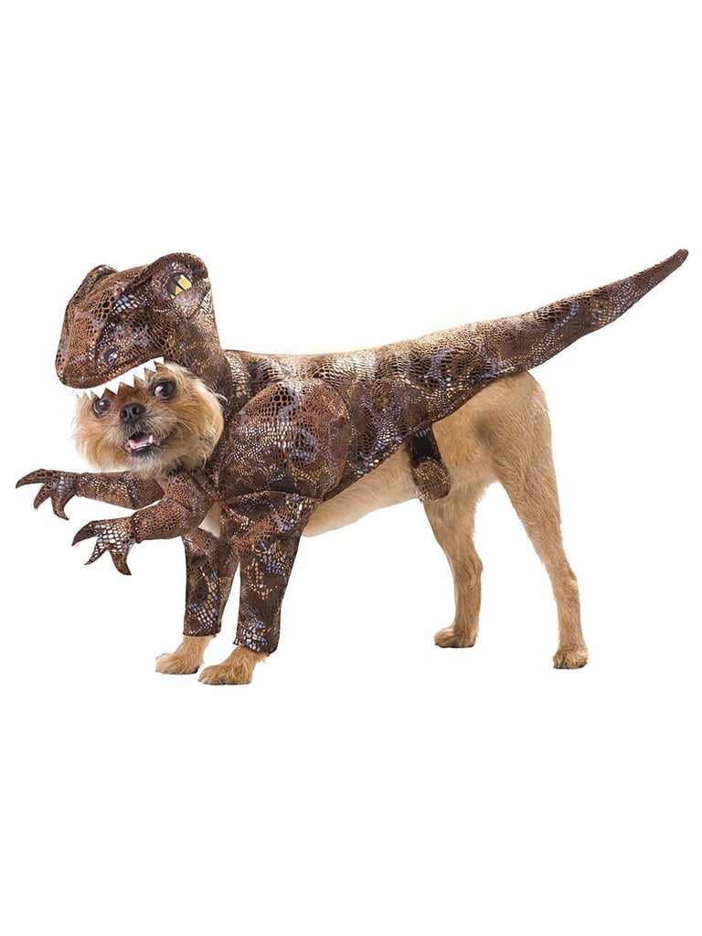 Raptor Dog Costume