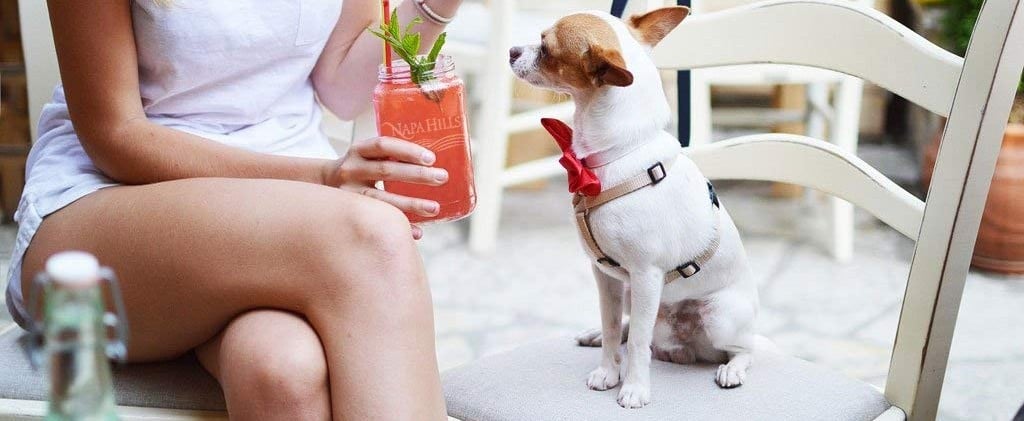 View of theSkimm - Your go-to for the info and tools you need to live your ...