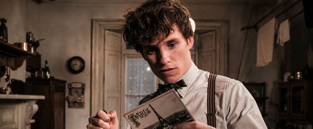 Newt Scamander in Harry Potter and the Prisoner of Azkaban