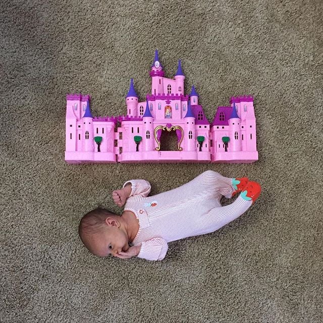 Baby vs. the kingdom.