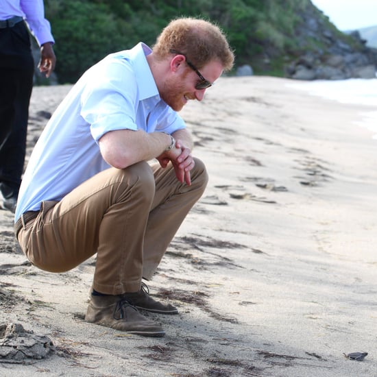 Prince Harry With Turtles in the Caribbean 2016