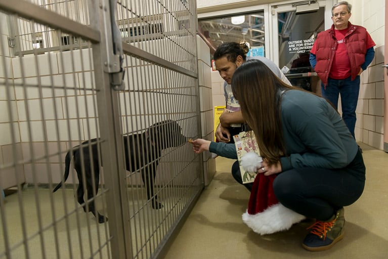 Cleveland Browns Player Donates to Animal Shelter