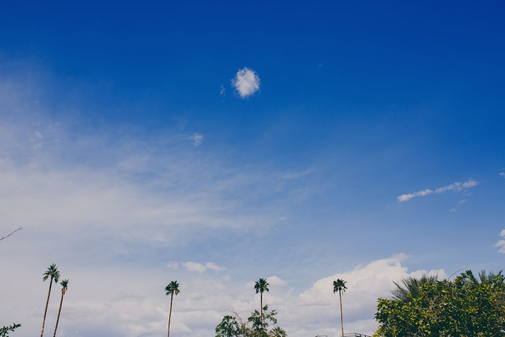 Trendy Palm Springs Wedding