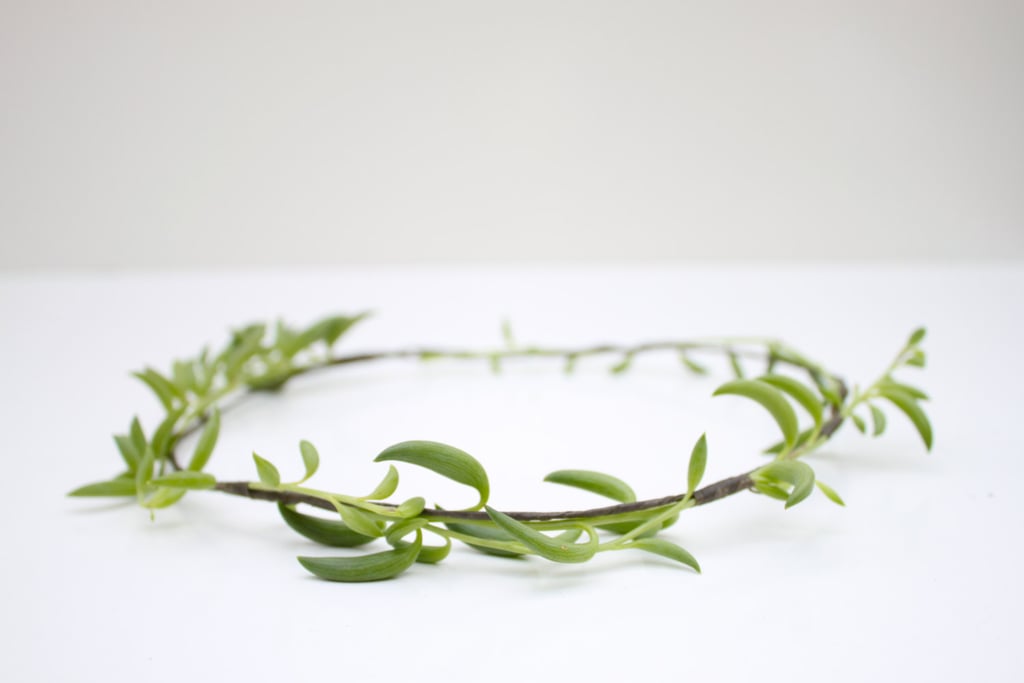 Vine Succulent Halo ($18)
