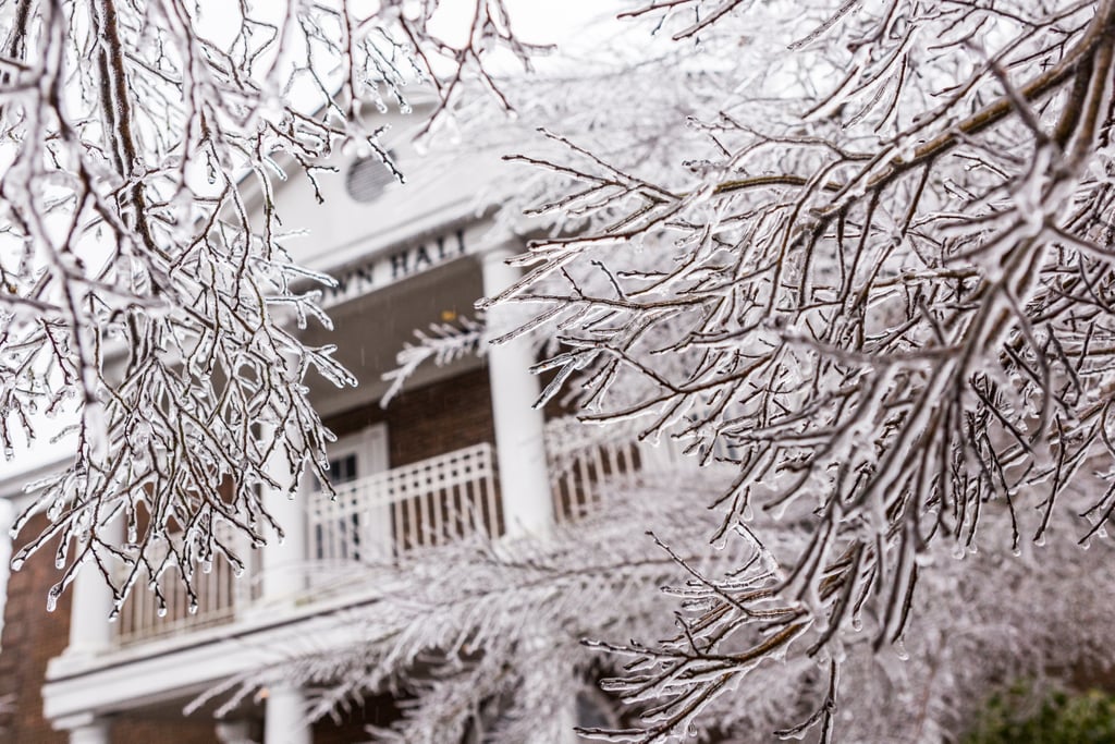 Ice covered the tree branches during a rare Winter storm in Summerville, SC.